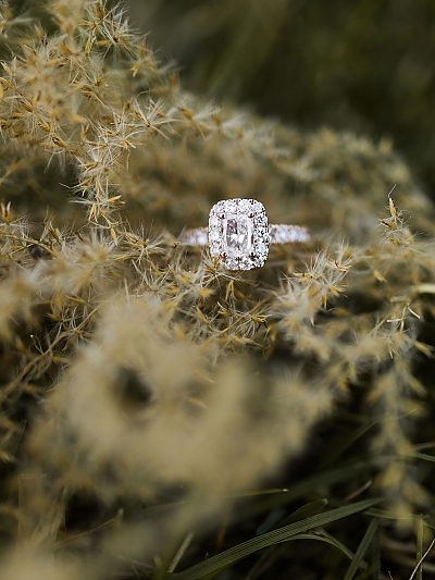 J & S Proposal